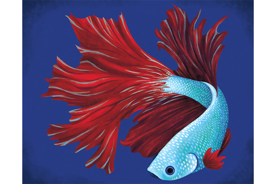 Acrylic Art InstructionsAcrylic Painting a Betta Fish