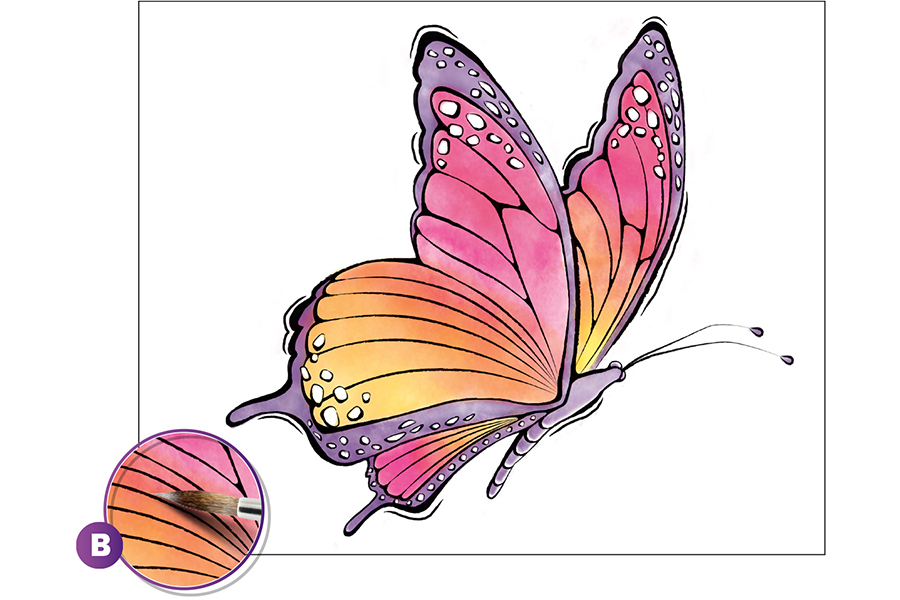 Watercolor the middle of the butterflies' wings a different color. Paint the wings in a gradient that gets lighter the farther down you paint.