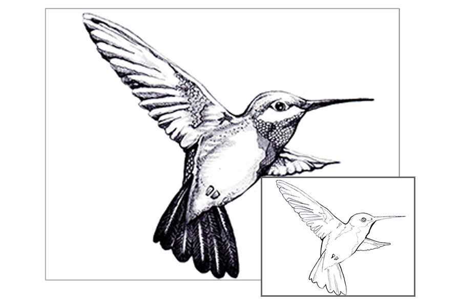 https://www.artskills.com/media/blog/Charcoal_Hummingbird_Hero.jpg