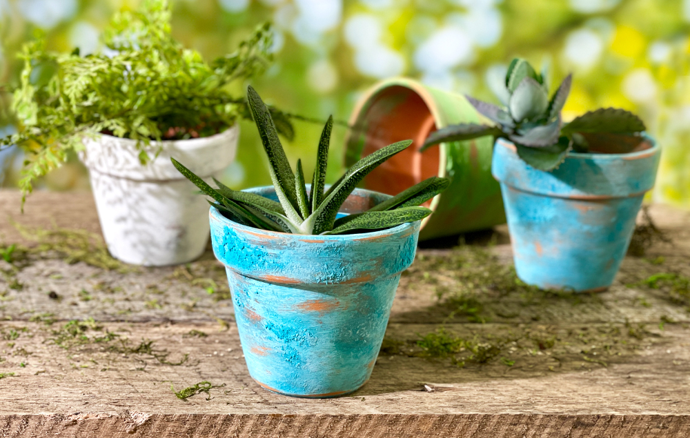 Aged Terracotta Pot