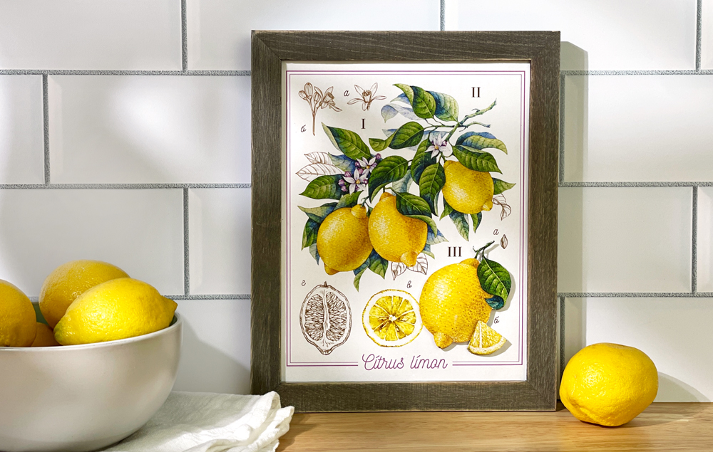 DIY Framed Lemon Print