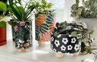 Upcycled Can Planter