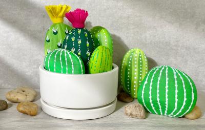 Painted Cactus Rocks