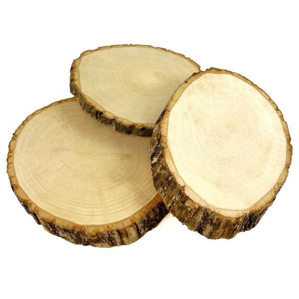 Artskills Project Craft DIY Natural Round Wood Slice with Raw Edges for Craft Painting and Decor (3-pack)