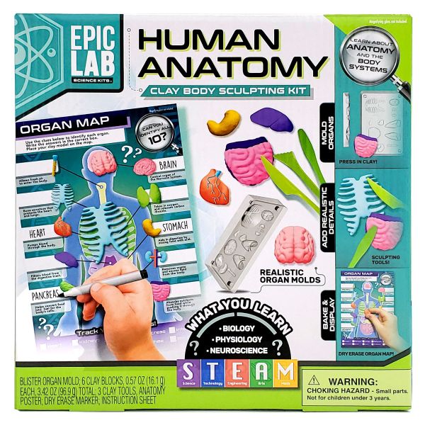 Epic Lab Veterinary Science Anatomy Clay Sculpting Kit PA-7541 Ages 8+ 2021  NOS